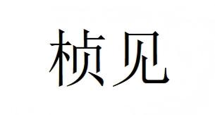 桢见系列产品资料图